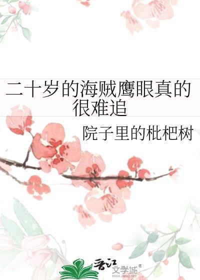 二十岁的海贼鹰眼真的很难追番外