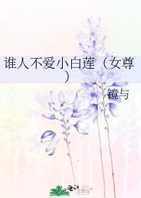 谁人不爱小白莲(女尊) 镜与