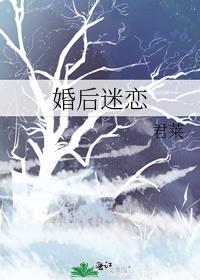 婚后迷恋完整版