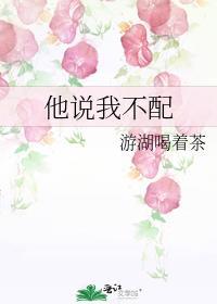 他说我不配TXT百度资源