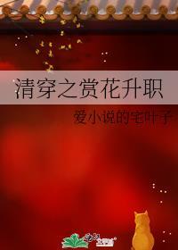 清穿之花开从容免费