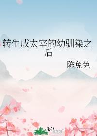 太宰成为审神者[综