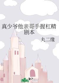 真少爷手握甜文剧本txt