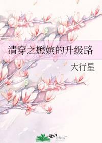 清穿之玫嫔