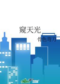窥天光txt全文加番外百度