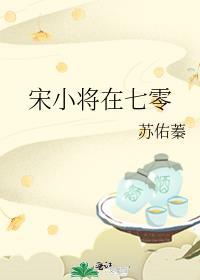 宋小将在七零免费阅读