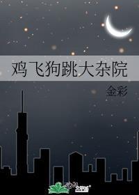 鸡飞狗跳大杂院原名金彩新笔趣阁