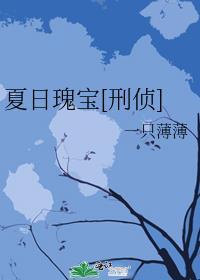 夏日宝库
