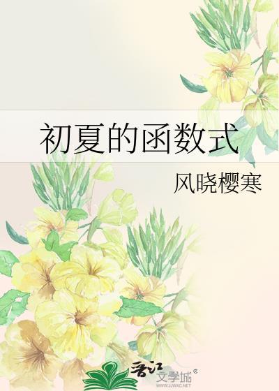 初中函数式子