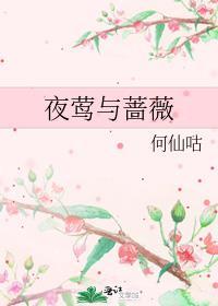 夜莺与蔷薇读后感