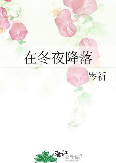 在冬夜降落晋江