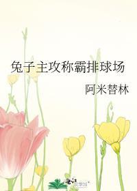 兔子主攻称霸排球场番外