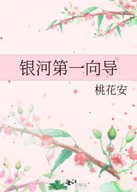 银河第一向导桃花安