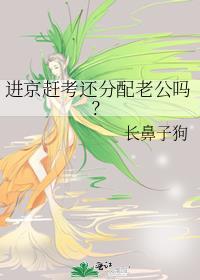 进京赶考还分配老公吗
