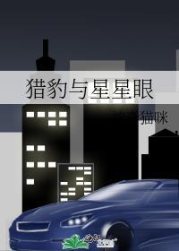 豹和猎豹一样吗