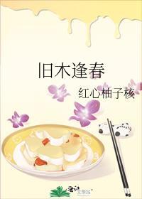 旧木逢春免费TXT