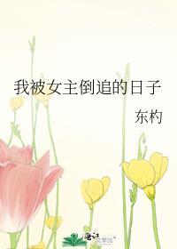 主角被女主倒追的玄幻