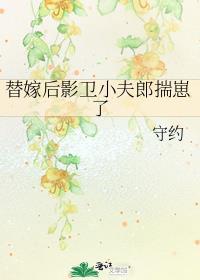 替嫁后影卫小夫郎揣崽了是清水文吗