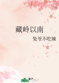 藏岭以南TXT免费