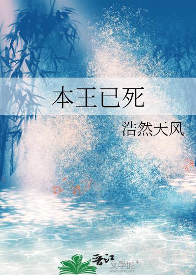 本王在此讲的什么内容