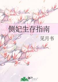 侧妃生存手册