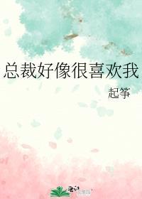 总裁好像很喜欢我t