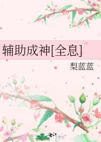 辅助成神全息笔趣阁