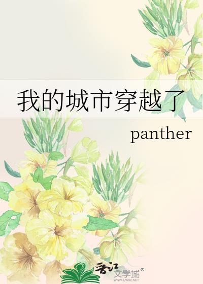 我的城市全