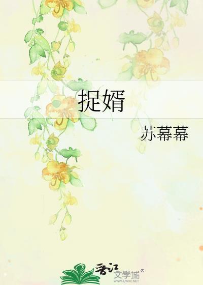 捉婿苏幕幕全本TXT