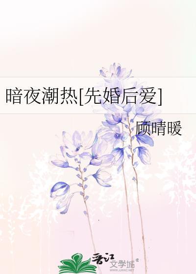 暗夜作者
