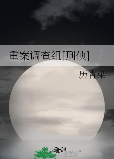 重案组简介