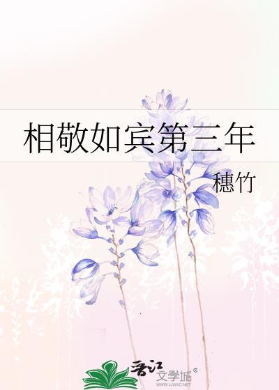 相敬如宾第三年全文免费txt