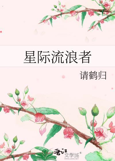 星际流浪海报
