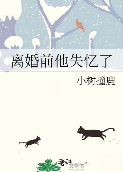 离婚前一天他失忆