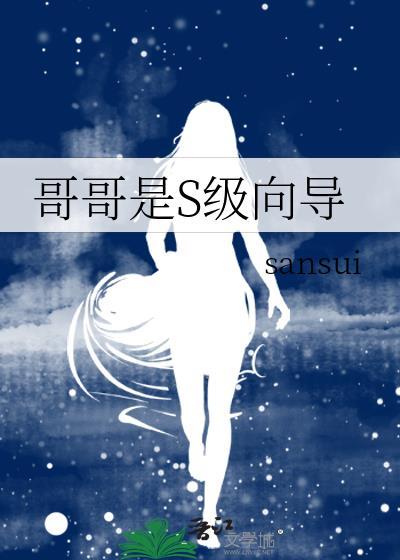 哥哥是s级向导百度