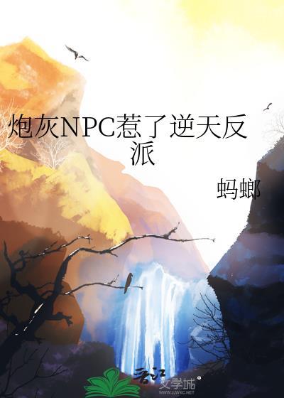 炮灰npc是什么意思