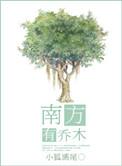 南有乔木念中寻萝位置