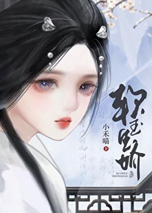 将军掳娇全百度