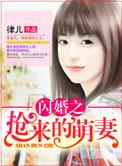 闪婚之强来的萌妻