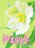 温柔的你文案