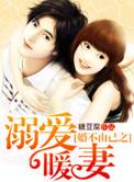 婚不由已gl