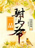 一品驸马