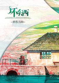 坏东西坏东西