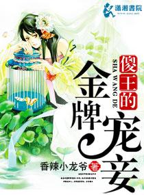 傻王宠妃免费阅读全文