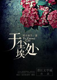 于尘埃处 全文阅读番外