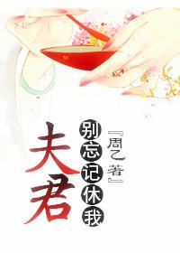 夫君 别忘记休我