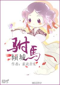 驸马倾城讲什么