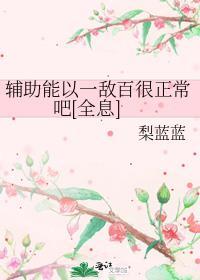 辅助只能出一件辅助装?