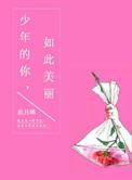少年的你如此美丽说的是什么