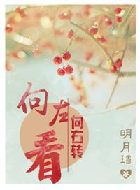 向右转明月珰txt